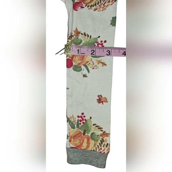 Burt's Bees Kids Boy Girl Thanksgiving Celebration Organic 2pc PJ Set Sz 4T - Picture 10 of 16